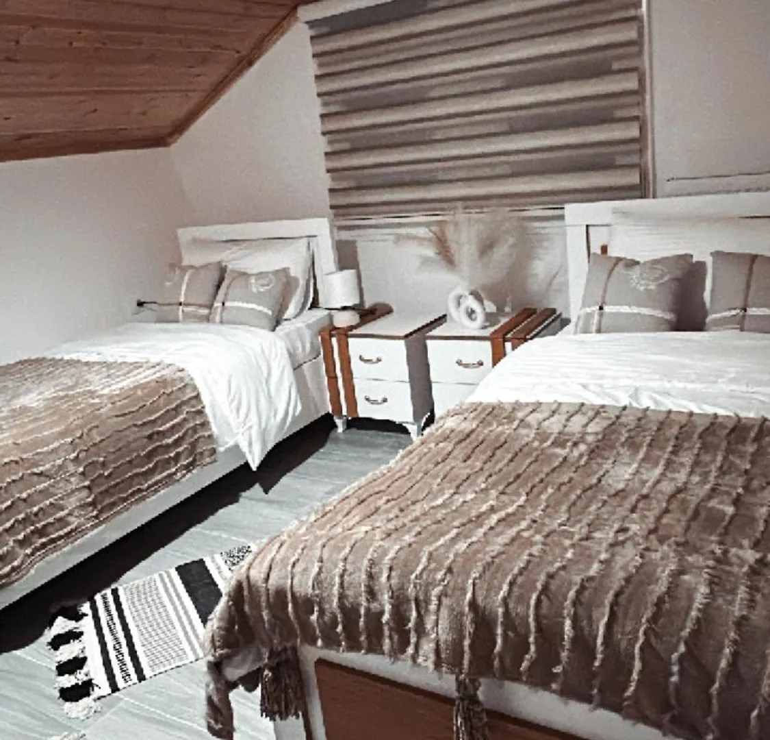 Guest House Rean Berat 0*,
